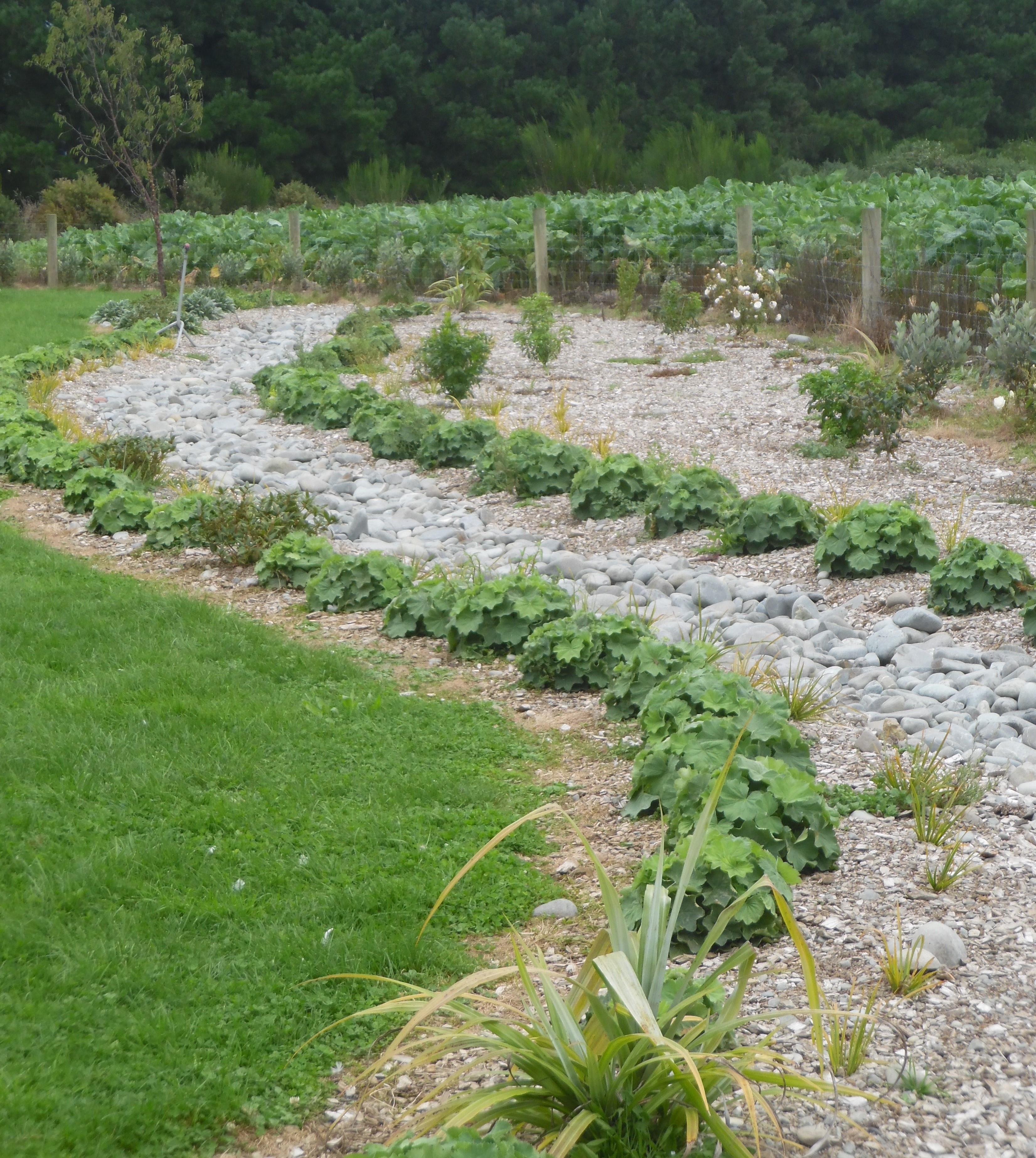 Dry creek bed at main house